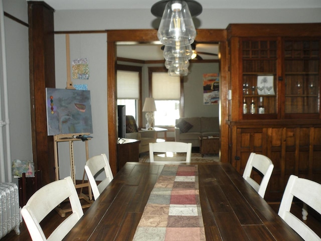301 W Amelia St, Cassville, WI 53806 - view of dining room