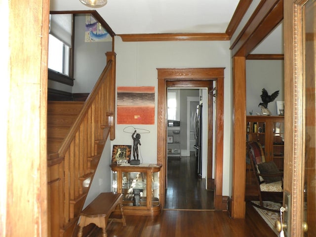 301 W Amelia St, Cassville, WI 53806 - hallway with dark hardwood / wood-style flooring and ornamental molding