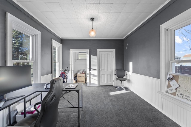 carpeted home office with crown molding and a healthy amount of sunlight