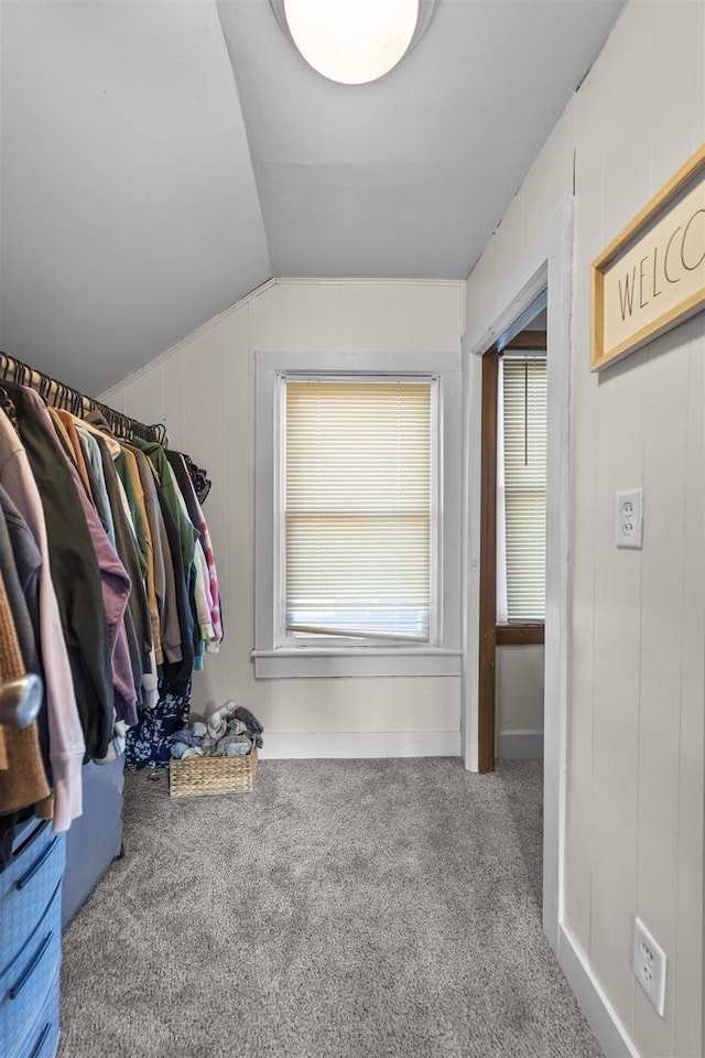 walk in closet featuring vaulted ceiling and carpet flooring