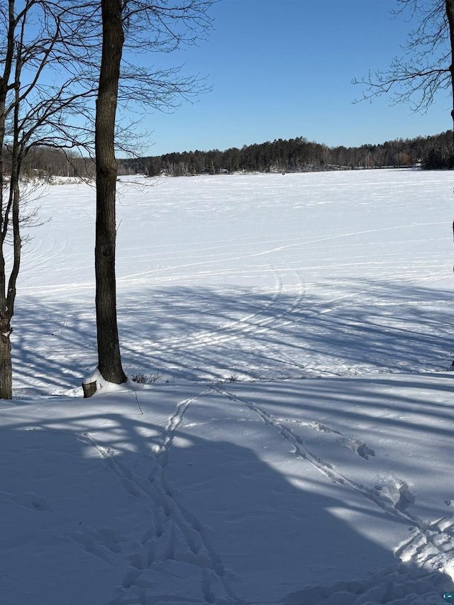 view of yard covered in snow