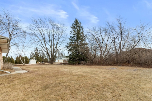 view of yard featuring a storage unit