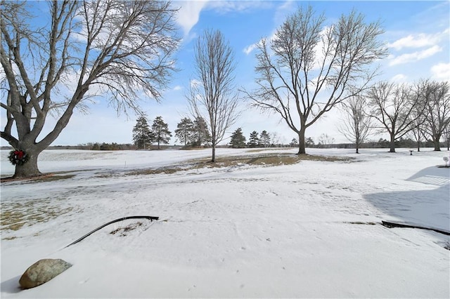 view of yard covered in snow