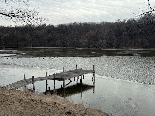 view of dock with a water view