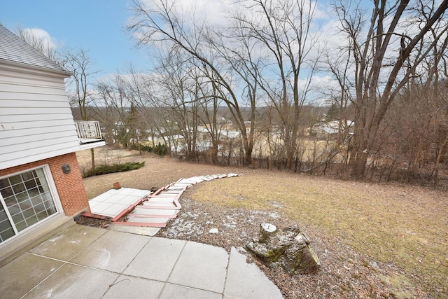 view of yard with a patio area