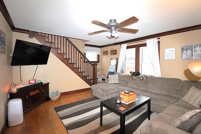 living room featuring hardwood / wood-style floors, crown molding, and ceiling fan