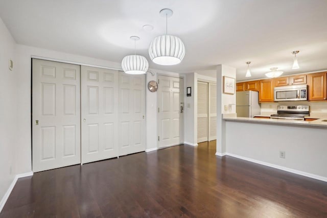 kitchen with hanging light fixtures, appliances with stainless steel finishes, and dark hardwood / wood-style floors