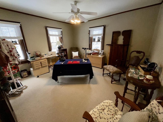 carpeted bedroom with crown molding and ceiling fan