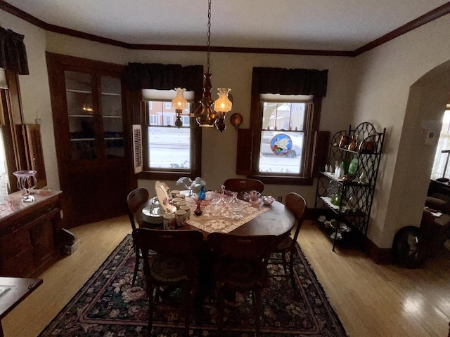 dining room featuring crown molding, hardwood / wood-style flooring, and plenty of natural light