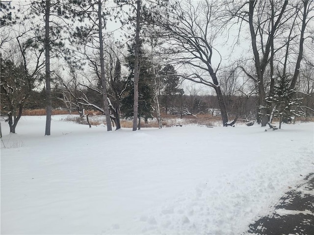 view of yard covered in snow