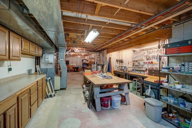 basement with a workshop area