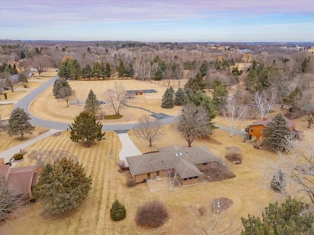 drone / aerial view featuring a rural view