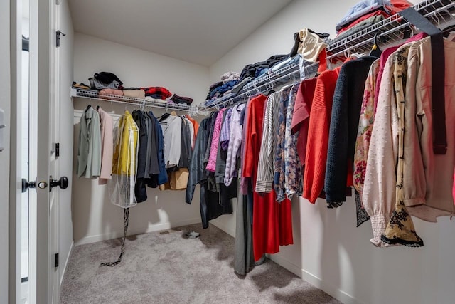 spacious closet featuring carpet flooring