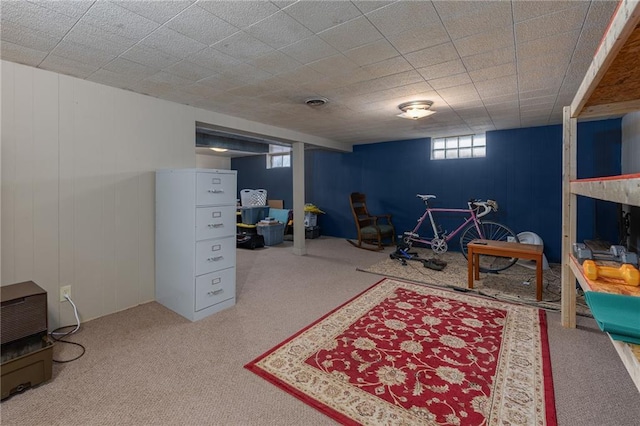 recreation room with carpet