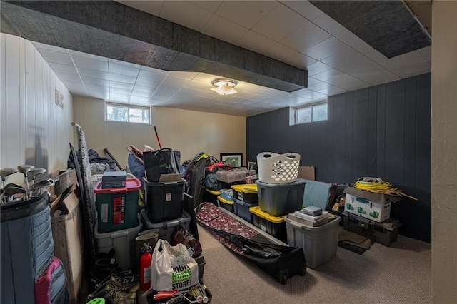 basement featuring carpet flooring