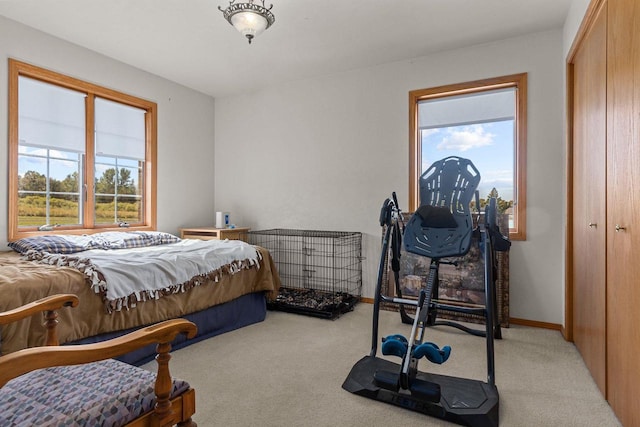 bedroom featuring light colored carpet and a closet