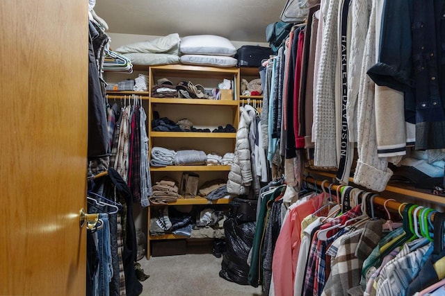 spacious closet with carpet flooring