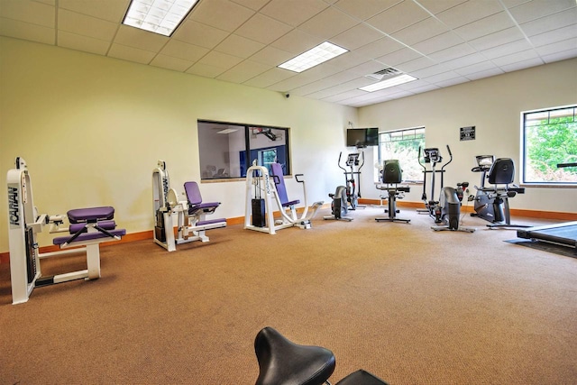 gym with a paneled ceiling, a healthy amount of sunlight, and carpet floors