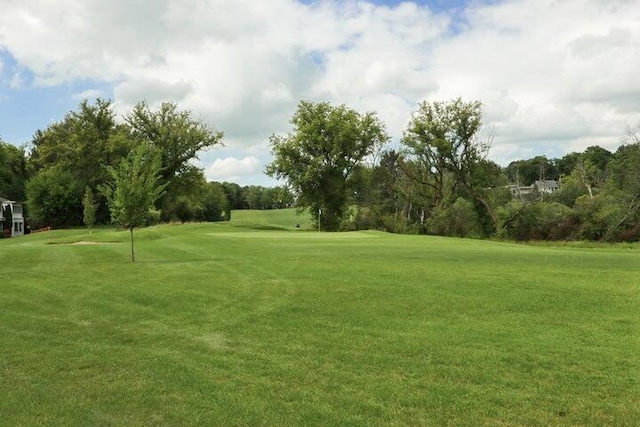 view of community with a yard