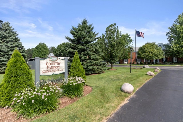 view of home's community with a lawn