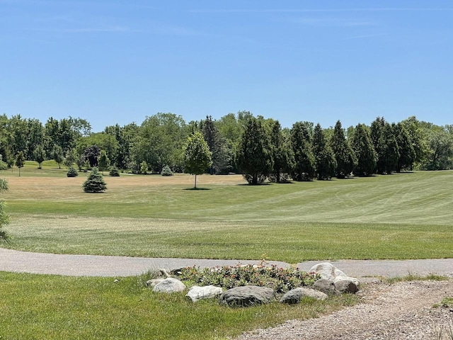 surrounding community featuring a yard