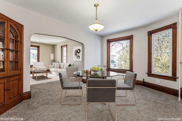 dining room with a healthy amount of sunlight and carpet floors