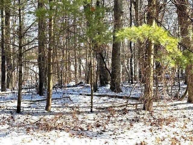 Otter Dr, Waupaca WI, 54981 land for sale