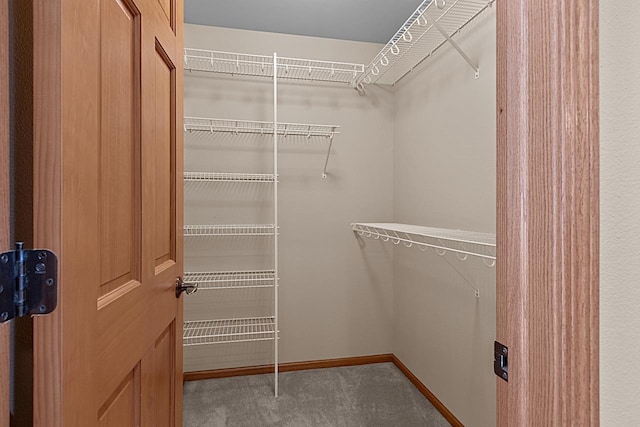 spacious closet with carpet flooring