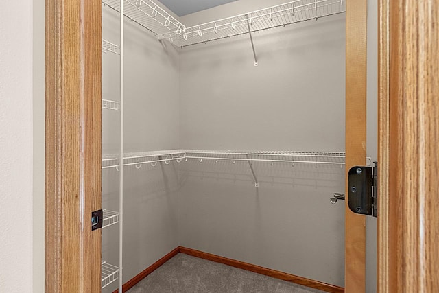 spacious closet with carpet