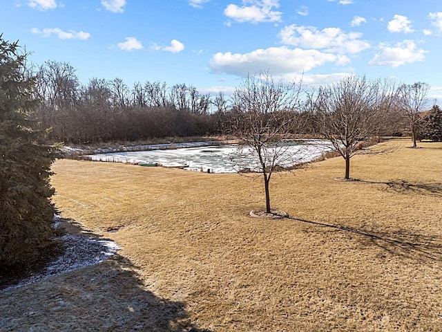 view of yard featuring a water view