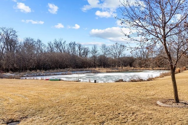 view of yard with a water view