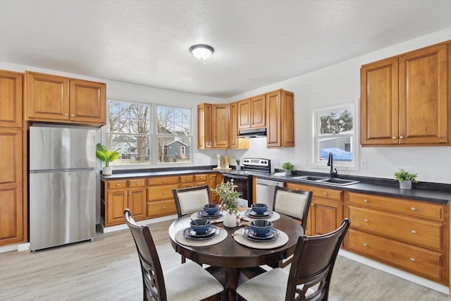 kitchen featuring sink, stainless steel appliances, and light wood-type flooring