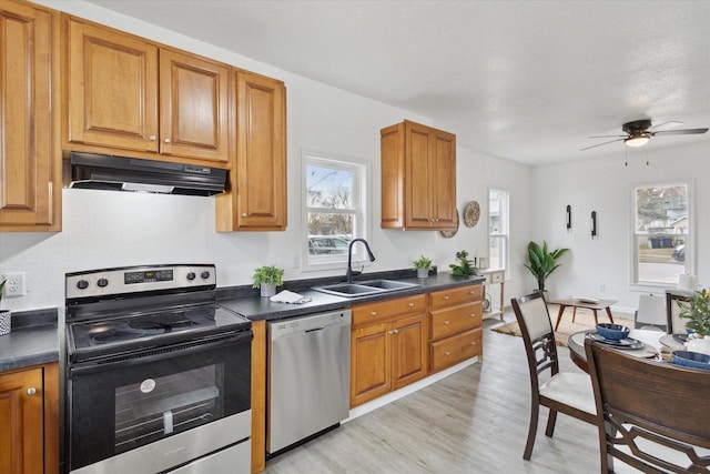 kitchen with ceiling fan, appliances with stainless steel finishes, light hardwood / wood-style floors, and sink