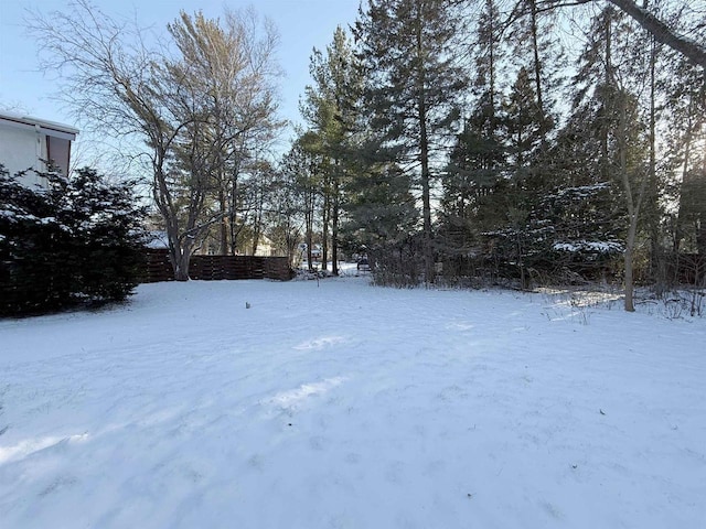 view of yard covered in snow