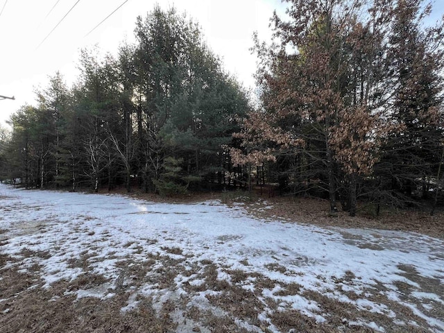 Listing photo 3 for LOT1 Sandy Pines Ct, Redgranite WI 54970