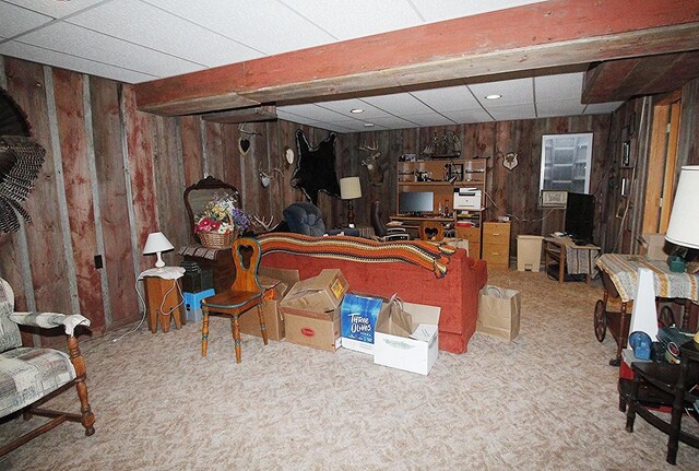 W5698 Losinski Rd, Princeton, WI 54968 - finished basement featuring wood walls and carpet flooring
