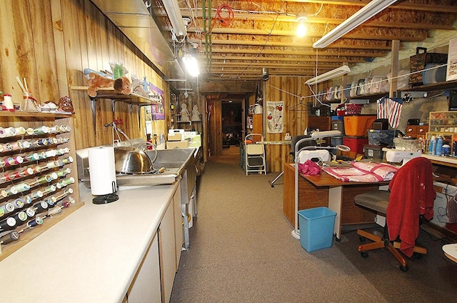 W5698 Losinski Rd, Princeton, WI 54968 - unfinished basement with carpet flooring