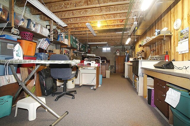 W5698 Losinski Rd, Princeton, WI 54968 - below grade area featuring a workshop area and carpet flooring