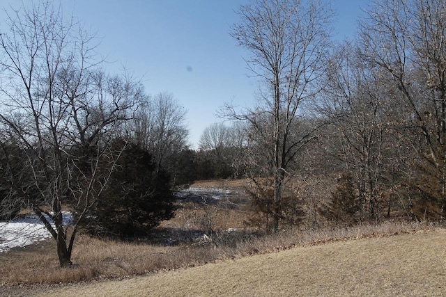 W5698 Losinski Rd, Princeton, WI 54968 - view of local wilderness