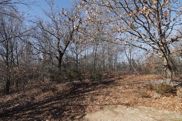 W5698 Losinski Rd, Princeton, WI 54968 - view of nature