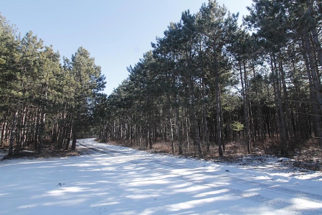 W5698 Losinski Rd, Princeton, WI 54968 - view of yard with a forest view