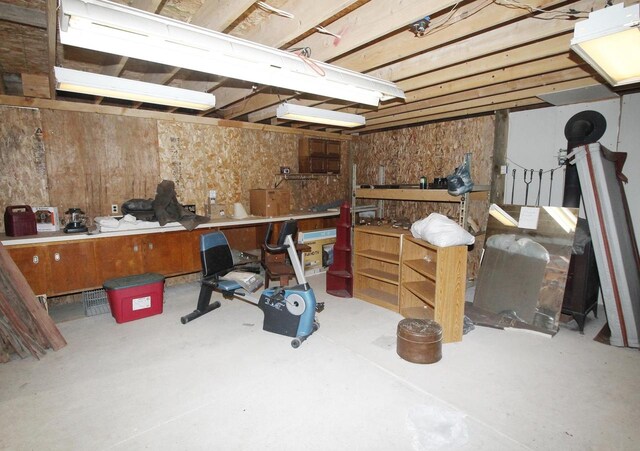 W5698 Losinski Rd, Princeton, WI 54968 - basement featuring a workshop area