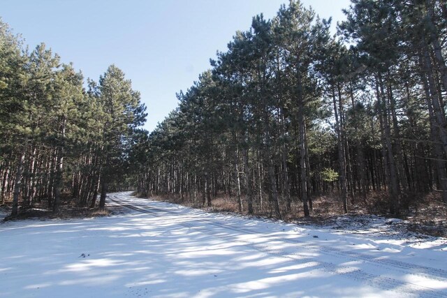 W5698 Losinski Rd, Princeton, WI 54968 - view of yard with a forest view