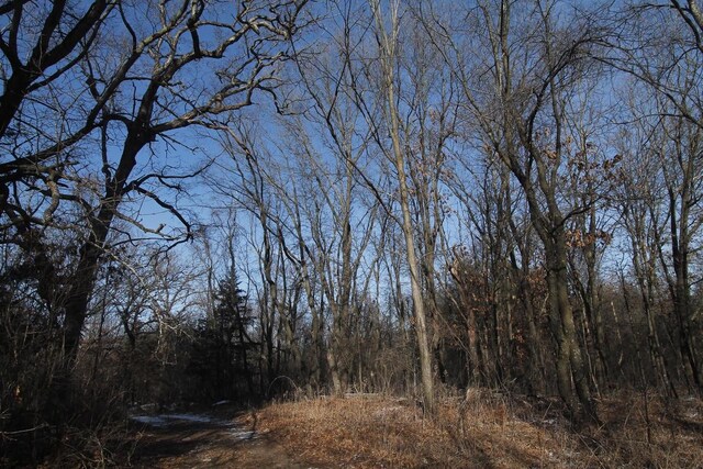 W5698 Losinski Rd, Princeton, WI 54968 - view of woods