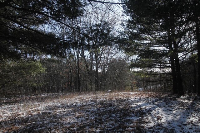 W5698 Losinski Rd, Princeton, WI 54968 - view of woods