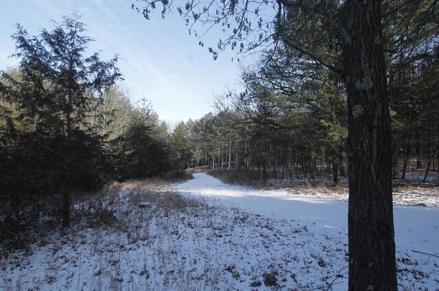 W5698 Losinski Rd, Princeton, WI 54968 - view of street featuring a wooded view