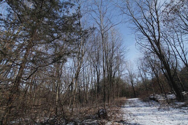 W5698 Losinski Rd, Princeton, WI 54968 - view of snow covered land featuring a view of trees