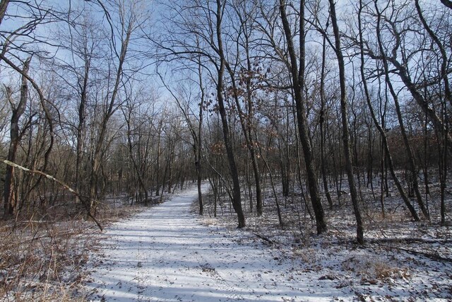 W5698 Losinski Rd, Princeton, WI 54968 - view of snow covered land with a wooded view
