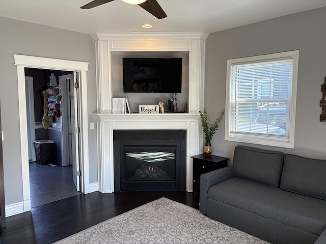 living room featuring ceiling fan and wood-type flooring