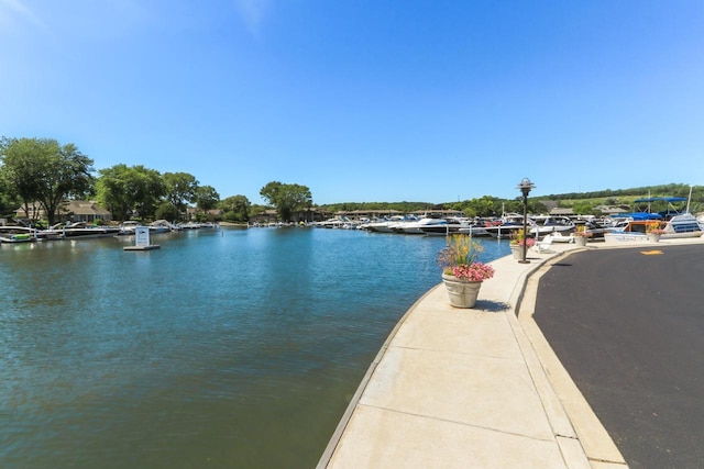 property view of water